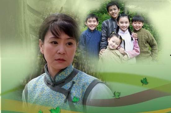 春天后母心所有演员表,实力派演员阵容演绎温情家庭故事