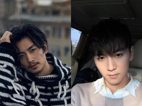 陈晓娱乐公司,打造明星梦工厂，引领娱乐圈新潮流