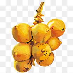 果果照片,照片中的童真与美好